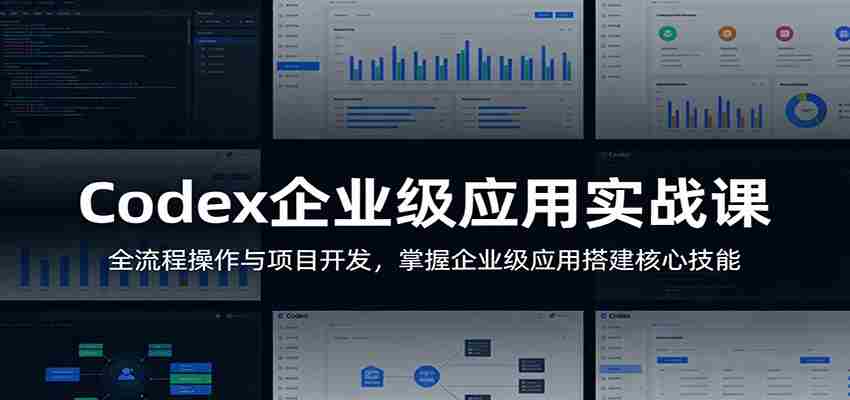 Codex企业级应用实战课：全流程操作与项目开发，掌握企业级应用搭建核心技能-湘创网