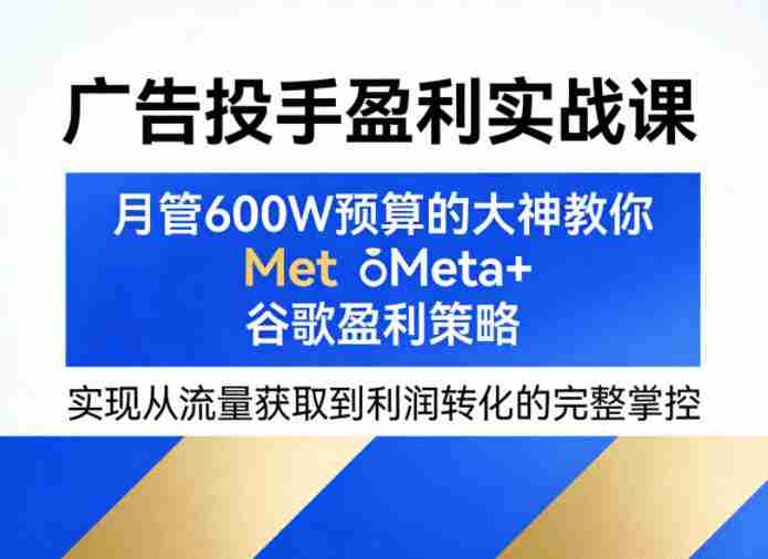 广告投手盈利实战课，月管600W预算的大神教你Meta+谷歌盈利策略，实现从流量获取到利润转化的完整掌控-湘创网