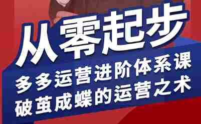 拼多多运营进阶系统课，从零起步，多多运营进阶体系课，破茧成蝶的运营之术（更新26年4月）-湘创网