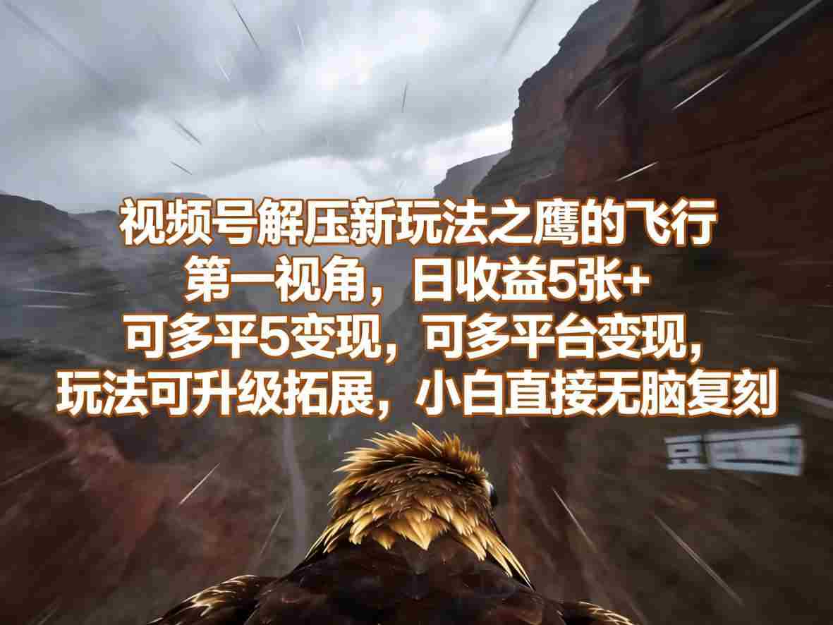 视频号解压新玩法之鹰的飞行第一视角,日收益5张+,可多平台变现,玩法可升级拓展,小白直接无脑复刻