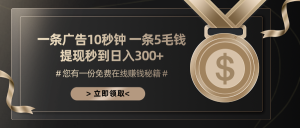 (13214期)一条广告十秒钟 一条五毛钱 日入300+ 小白也能上手-湘创网