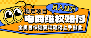 电商维权赔付全类目稳定月入过万可批量操作一部手机轻松小白-湘创网