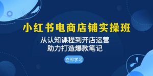 小红书电商店铺实操班:从认知课程到开店运营,助力打造爆款笔记-湘创网