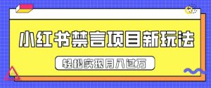 小红书禁言项目新玩法,推广新思路大大提升出单率,轻松实现月入过W-湘创网