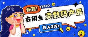 靠在闲鱼卖数码产品月入过W+的最新秘籍0基础教学,新手快速上手-湘创网