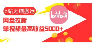 视频无脑搬运b站网盘拉新,单视频最高收益5k+【揭秘】-湘创网