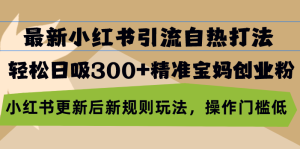 (13145期)最新小红书引流自热打法,轻松日吸300+精准宝妈创业粉,小红书更新后新...-湘创网