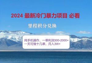 2024惊爆冷门暴利,里程积分最新玩法,高爆发期,一单300+—2000+-湘创网