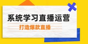 系统学习直播运营:掌握起号方法、主播能力、小店随心推,打造爆款直播-湘创网