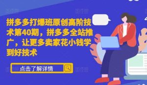 拼多多打爆班原创高阶技术第40期,拼多多全站推广,让更多卖家花小钱学到好技术-湘创网
