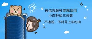 (13115期)2024最新微信视频号变现项目,小白轻松月入四位数-湘创网