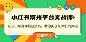 (13775期)小红书 聚光平台实战课,从认识平台到投放技巧,助你实现从0到1的突破-湘创网