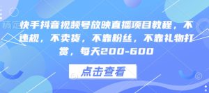 快手抖音视频号放映直播项目教程,不违规,不卖货,不靠粉丝,不靠礼物打赏,每天200-600-湘创网