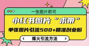 小红书图片‘求带’爆火引流法,单张图片引流500+精准创业粉【揭秘】-湘创网