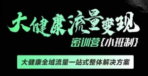 千万级大健康变现课线下课,大健康全域流量一站式整体解决方案-湘创网