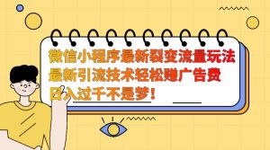 微信小程序最新裂变流量玩法,时间自由收益高轻松赚广告费,日入过千不是梦!-湘创网