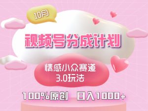 (12939期)视频号情感小众赛道3.0.纯原创视频,每天1小时,小白易上手-湘创网
