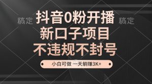 (13301期)抖音0粉开播,新口子项目,不违规不封号,小白可做,一天躺赚3K+-湘创网