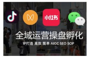 全域运营操盘(抖音+私域+小红书),IP打造高效简单-湘创网