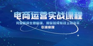 (13763期)电商运营实战课程:完整解读生意参谋,教你如何有效上架宝贝,引流变现-湘创网