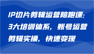 IP切片剪辑运营陪跑课,3大培训体系:账号运营 剪辑实操 快速变现-湘创网