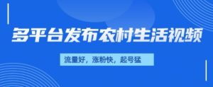治愈系农村生活视频,多平台发布,流量好,起号快-湘创网