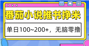 番茄小说推书赚米,单日100~200+,无脑零撸-湘创网