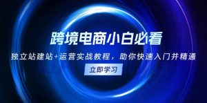 (13503期)跨境电商小白必看!独立站建站+运营实战教程,助你快速入门并精通-湘创网