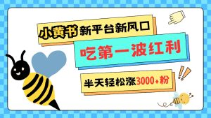 小黄书重磅来袭,新平台新风口,管理宽松,半天轻松涨3000粉,第一波红利等你来吃-湘创网