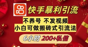 利用快手平台6小时不到200+私信,不发视频不养号-湘创网