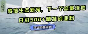微信生态新宠小绿书:下一个流量洼地,日引500+精准创业粉,粉丝质量超高-湘创网