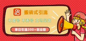 快手搬砖式引流,不废号,不养号,立马见效,单日引流300+精准创业粉-湘创网