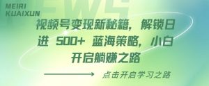 视频号变现新秘籍,解锁日进 5张 蓝海策略,小白开启躺Z之路-湘创网
