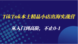 TikTok本土精品小店出海实战营,从入门到高阶,不止0-1-湘创网