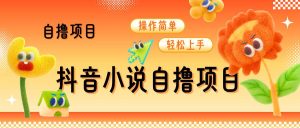 抖音小说自撸项目,操作简单轻松上手-湘创网