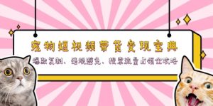 (13227期)宠物短视频带货变现宝典:爆款复制、违规避免、搜索流量占领全攻略-湘创网
