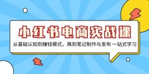 小红书电商实战课,从基础认知到赚钱模式,再到笔记制作与发布 一站式学习-湘创网
