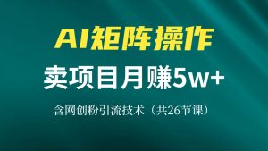 (13335期)网创IP打造课,借助AI卖项目月赚5万+,含引流技术(共26节课)-湘创网