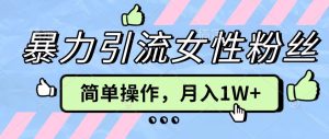 操作“零难度”小众项目,疯狂引流女性粉丝,月入轻松破 1W+-湘创网