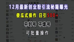 12月最新创业粉引流秘籍曝光 傻瓜式操作 日引500+ 不封号 不废号 可批量操作【揭秘】-湘创网