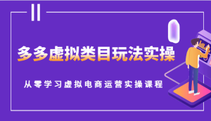 多多虚拟类目玩法实操,从零学习虚拟电商运营实操课程-湘创网