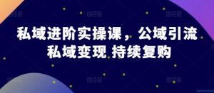 私域进阶实操课,公域引流 私域变现 持续复购-湘创网