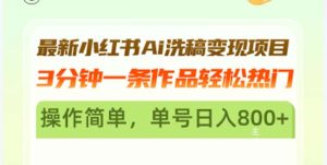 (13182期)最新小红书Ai洗稿变现项目 3分钟一条作品轻松热门 操作简单,单号日入800+-湘创网