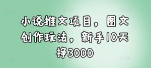 小说推文项目,图文创作玩法,新手10天挣3000-湘创网