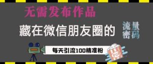 藏在微信朋友圈的流量密码,无需发布作品,单日引流100+精准创业粉【揭秘】-湘创网