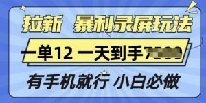 拉新暴利录屏玩法,一单12块,有手机就行,小白必做-湘创网