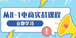 从零做电商实战课程,教你如何获取访客、选品布局,搭建基础运营团队-湘创网