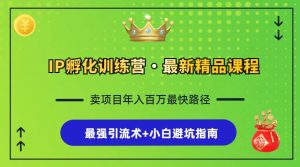 (13055期)IP孵化训练营,知识付费全流程+最强引流术+小白避坑指南-湘创网