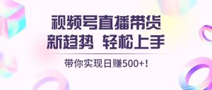 (13370期)视频号直播带货新趋势,轻松上手,带你实现日赚500+-湘创网