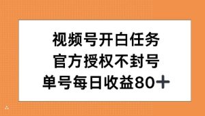 视频号开白任务,官方授权不封号,单号每天稳定收益80+-湘创网